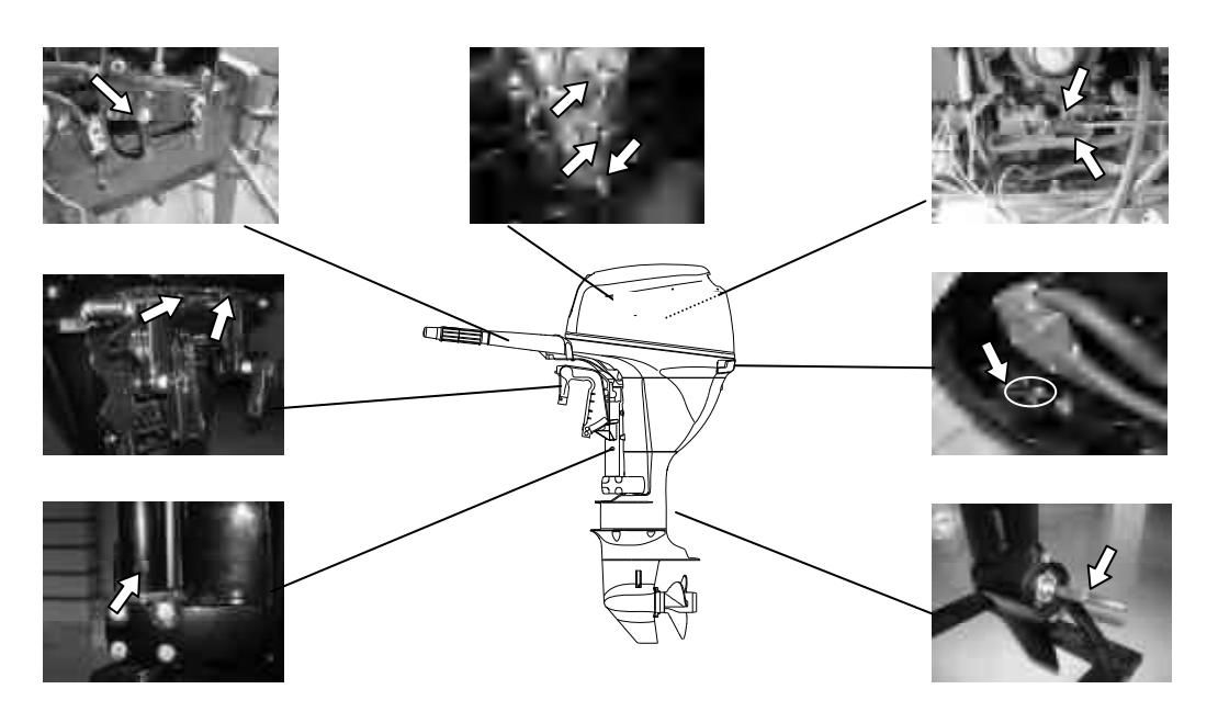Greasing points diagram on outboard motor