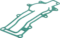 Engine gasket