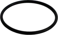 O-ring