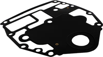 Gasket, engine