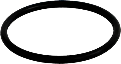 O-ring